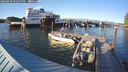 ./images/quadra/hbidock/20240909/hbidock20240909_183000M.jpg