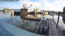 ./images/quadra/hbidock/20240910/hbidock20240910_090501M.jpg