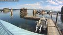 ./images/quadra/hbidock/20240910/hbidock20240910_100501M.jpg