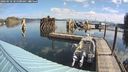 ./images/quadra/hbidock/20240910/hbidock20240910_101500M.jpg