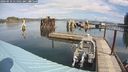 ./images/quadra/hbidock/20240910/hbidock20240910_115002M.jpg