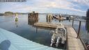 ./images/quadra/hbidock/20240910/hbidock20240910_115500M.jpg
