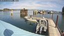 ./images/quadra/hbidock/20240910/hbidock20240910_122500M.jpg