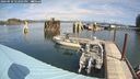 ./images/quadra/hbidock/20240910/hbidock20240910_122502M.jpg