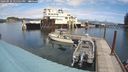 ./images/quadra/hbidock/20240910/hbidock20240910_125501M.jpg