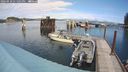 ./images/quadra/hbidock/20240910/hbidock20240910_131501M.jpg