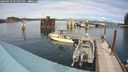 ./images/quadra/hbidock/20240910/hbidock20240910_141501M.jpg
