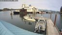 ./images/quadra/hbidock/20240910/hbidock20240910_150001M.jpg