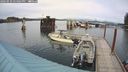 ./images/quadra/hbidock/20240910/hbidock20240910_154001M.jpg