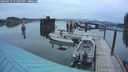 ./images/quadra/hbidock/20240910/hbidock20240910_195001M.jpg