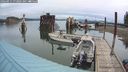 ./images/quadra/hbidock/20240911/hbidock20240911_073002M.jpg