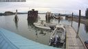 ./images/quadra/hbidock/20240911/hbidock20240911_081001M.jpg