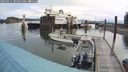 ./images/quadra/hbidock/20240911/hbidock20240911_083501M.jpg
