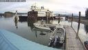 ./images/quadra/hbidock/20240911/hbidock20240911_084500M.jpg