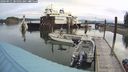 ./images/quadra/hbidock/20240911/hbidock20240911_084502M.jpg