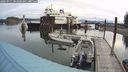 ./images/quadra/hbidock/20240911/hbidock20240911_085000M.jpg