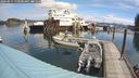 ./images/quadra/hbidock/20240911/hbidock20240911_110500M.jpg