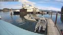 ./images/quadra/hbidock/20240911/hbidock20240911_111000M.jpg