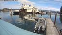 ./images/quadra/hbidock/20240911/hbidock20240911_111001M.jpg