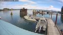 ./images/quadra/hbidock/20240911/hbidock20240911_111500M.jpg