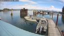 ./images/quadra/hbidock/20240911/hbidock20240911_111501M.jpg