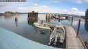 ./images/quadra/hbidock/20240911/hbidock20240911_113000M.jpg