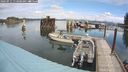 ./images/quadra/hbidock/20240911/hbidock20240911_113500M.jpg