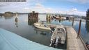 ./images/quadra/hbidock/20240911/hbidock20240911_113501M.jpg