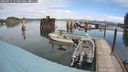 ./images/quadra/hbidock/20240911/hbidock20240911_114001M.jpg