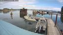 ./images/quadra/hbidock/20240911/hbidock20240911_114500M.jpg
