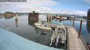 ./images/quadra/hbidock/20240911/hbidock20240911_115001M.jpg