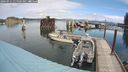 ./images/quadra/hbidock/20240911/hbidock20240911_115500M.jpg