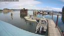 ./images/quadra/hbidock/20240911/hbidock20240911_115502M.jpg