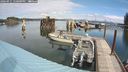 ./images/quadra/hbidock/20240911/hbidock20240911_120000M.jpg