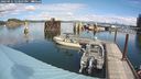 ./images/quadra/hbidock/20240911/hbidock20240911_123501M.jpg