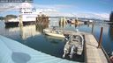 ./images/quadra/hbidock/20240911/hbidock20240911_124501M.jpg
