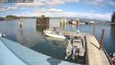 ./images/quadra/hbidock/20240911/hbidock20240911_141502M.jpg