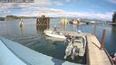 ./images/quadra/hbidock/20240911/hbidock20240911_142500M.jpg