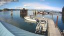 ./images/quadra/hbidock/20240911/hbidock20240911_155001M.jpg