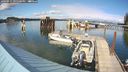 ./images/quadra/hbidock/20240911/hbidock20240911_155501M.jpg