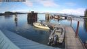 ./images/quadra/hbidock/20240911/hbidock20240911_162501M.jpg