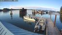 ./images/quadra/hbidock/20240911/hbidock20240911_175500M.jpg