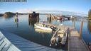 ./images/quadra/hbidock/20240911/hbidock20240911_180501M.jpg