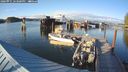 ./images/quadra/hbidock/20240911/hbidock20240911_183000M.jpg