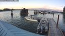 ./images/quadra/hbidock/20240911/hbidock20240911_193002M.jpg