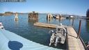 ./images/quadra/hbidock/20240912/hbidock20240912_124000M.jpg