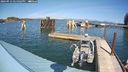 ./images/quadra/hbidock/20240912/hbidock20240912_141002M.jpg