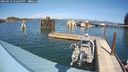 ./images/quadra/hbidock/20240912/hbidock20240912_142002M.jpg