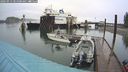 ./images/quadra/hbidock/20240913/hbidock20240913_105001M.jpg