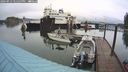 ./images/quadra/hbidock/20240913/hbidock20240913_125500M.jpg